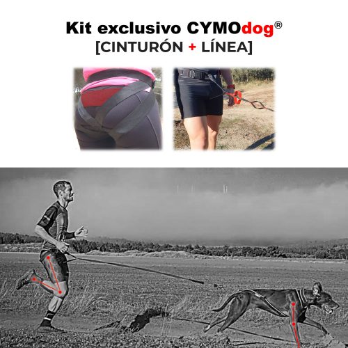 El mejor material de mushing